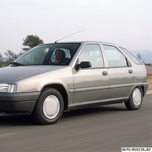 Все автозапчасти на Citroen ZX НОВЫЕ