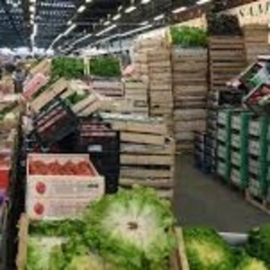 Перевозка продуктов Витебск