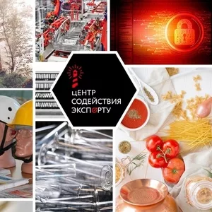 Система HACCP. Получить быстро рабочую систему для Вашего пищевого пре