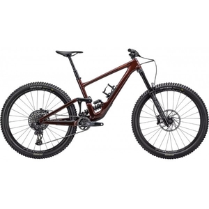 2024 Specialized Enduro Expert Mountain Bike (ZONACYCLES)             