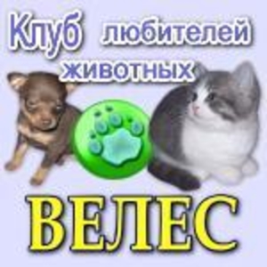 Клуб любителей животных «Велес»