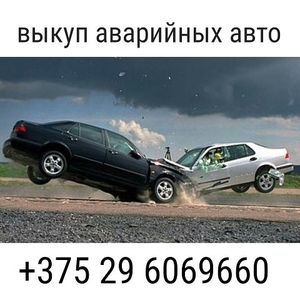 выкуп битых авто Бобруйск 